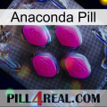 Anaconda Pill 02